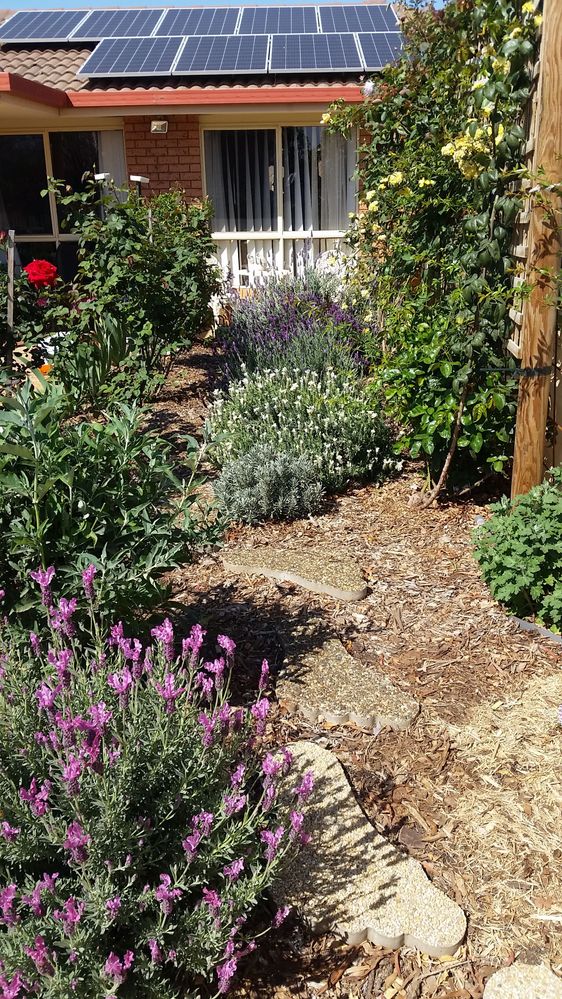 Mulch and underground watering system and watch it grow