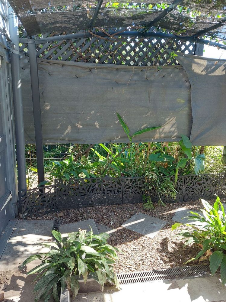 Original shade cloth and timber screen
