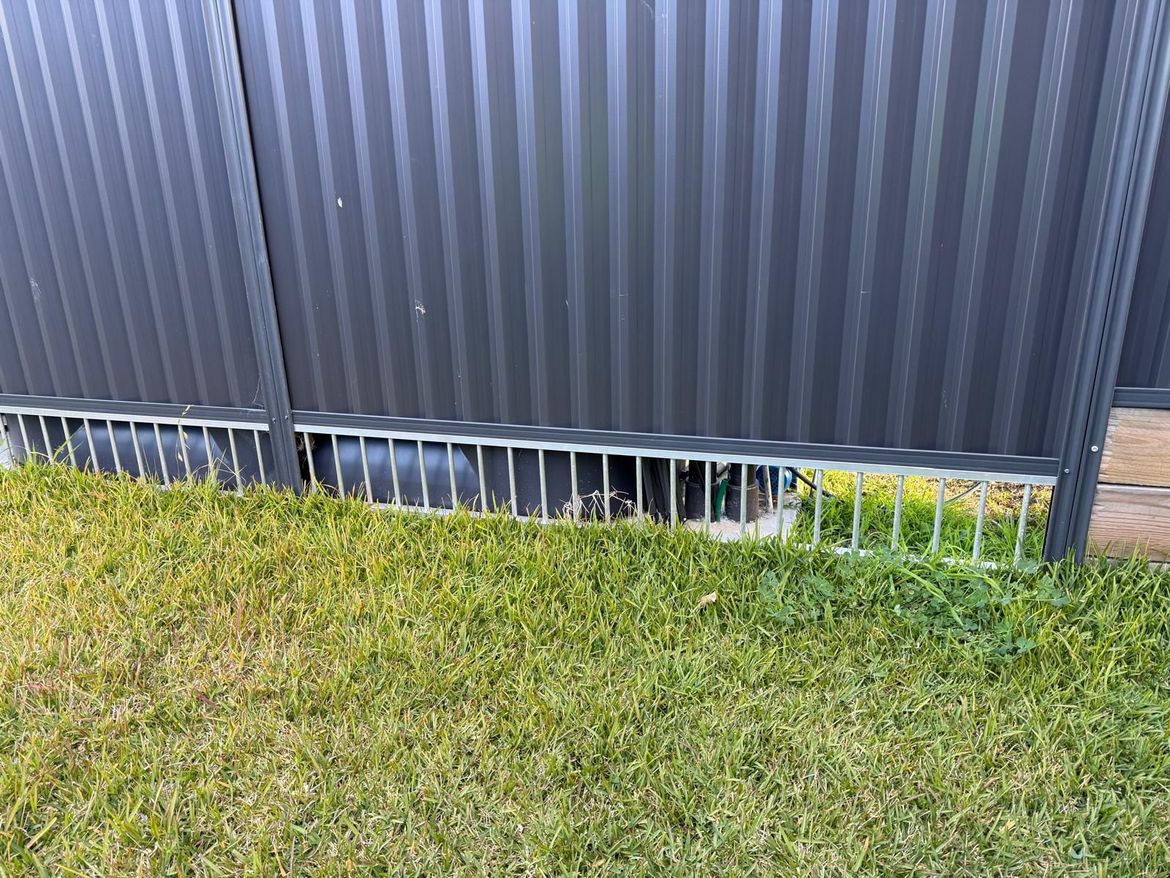 WhatsApp Image 2025-08-11 at 22.01.15.jpeg