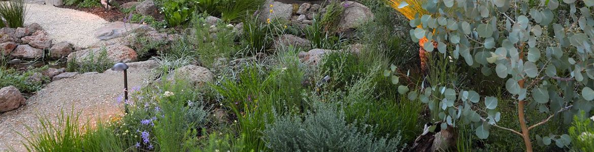 How to plan a garden makeover.jpg