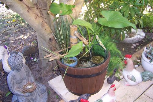 ! ! Water barrell April 2012.jpg