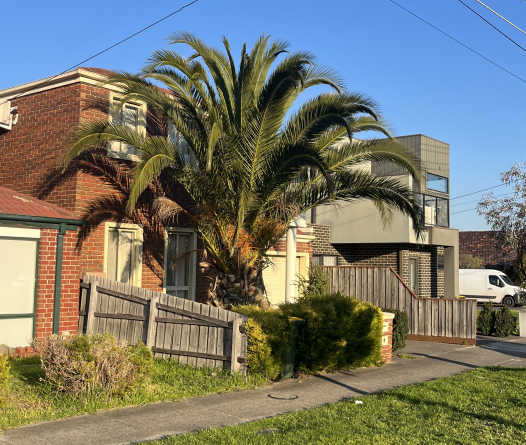 Screenshot 2025-08-13 123529.png