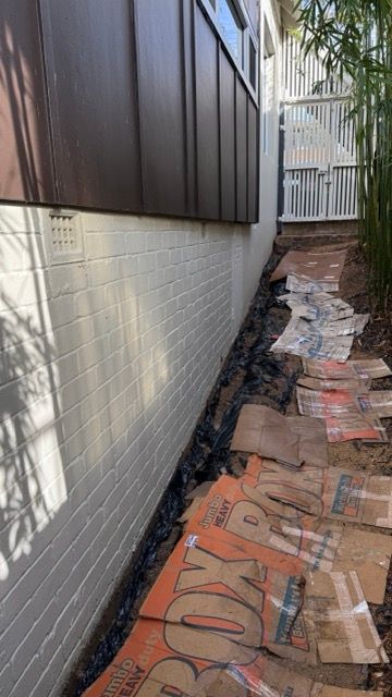 A-IMG_7658 Medium.jpeg