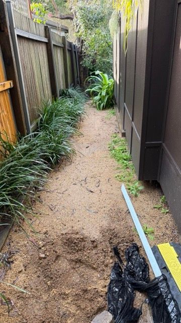 B-IMG_7660 Medium.jpeg