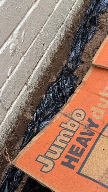 C-IMG_7659 Medium.jpeg