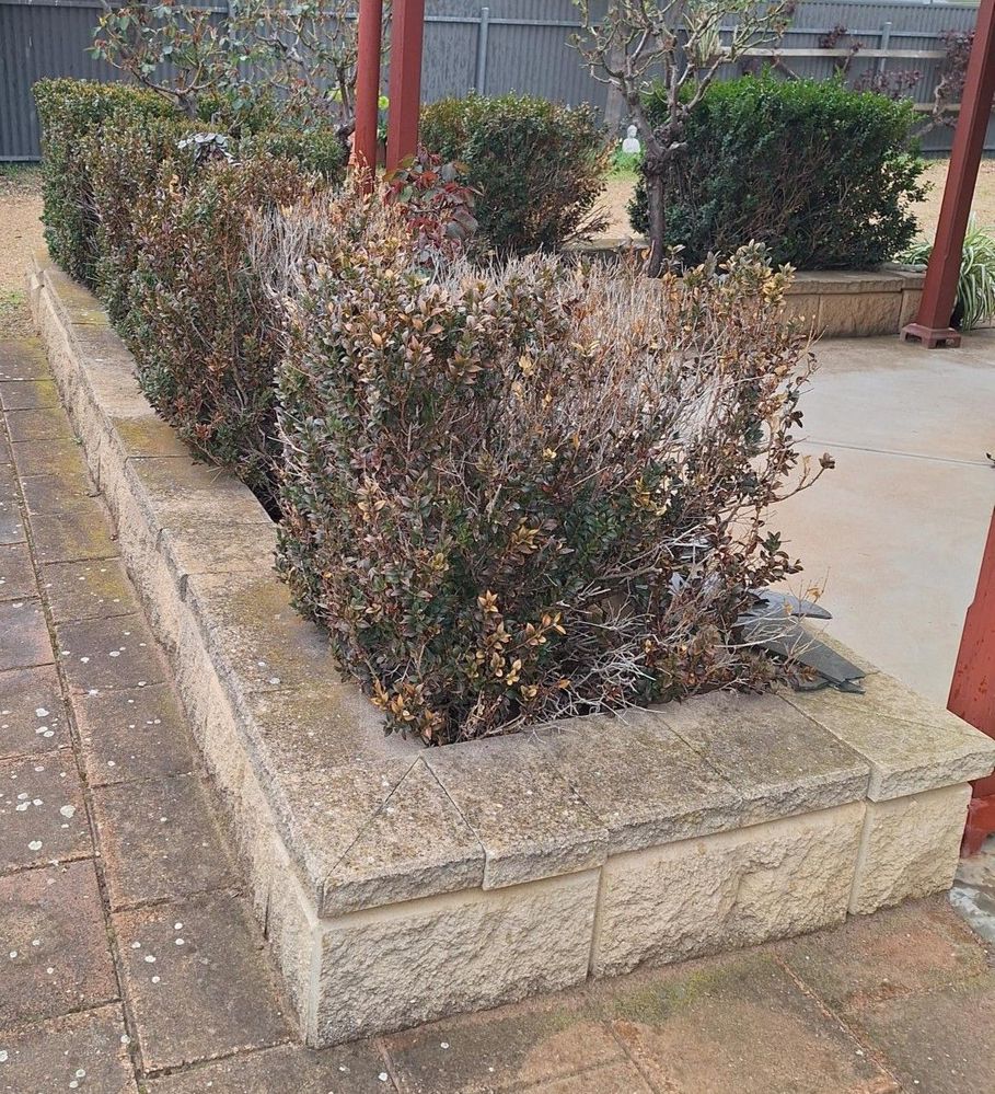 view from the front door