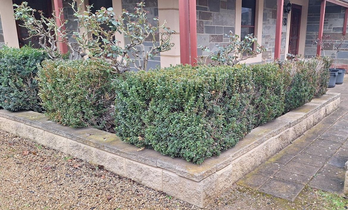 The area that needs revamping