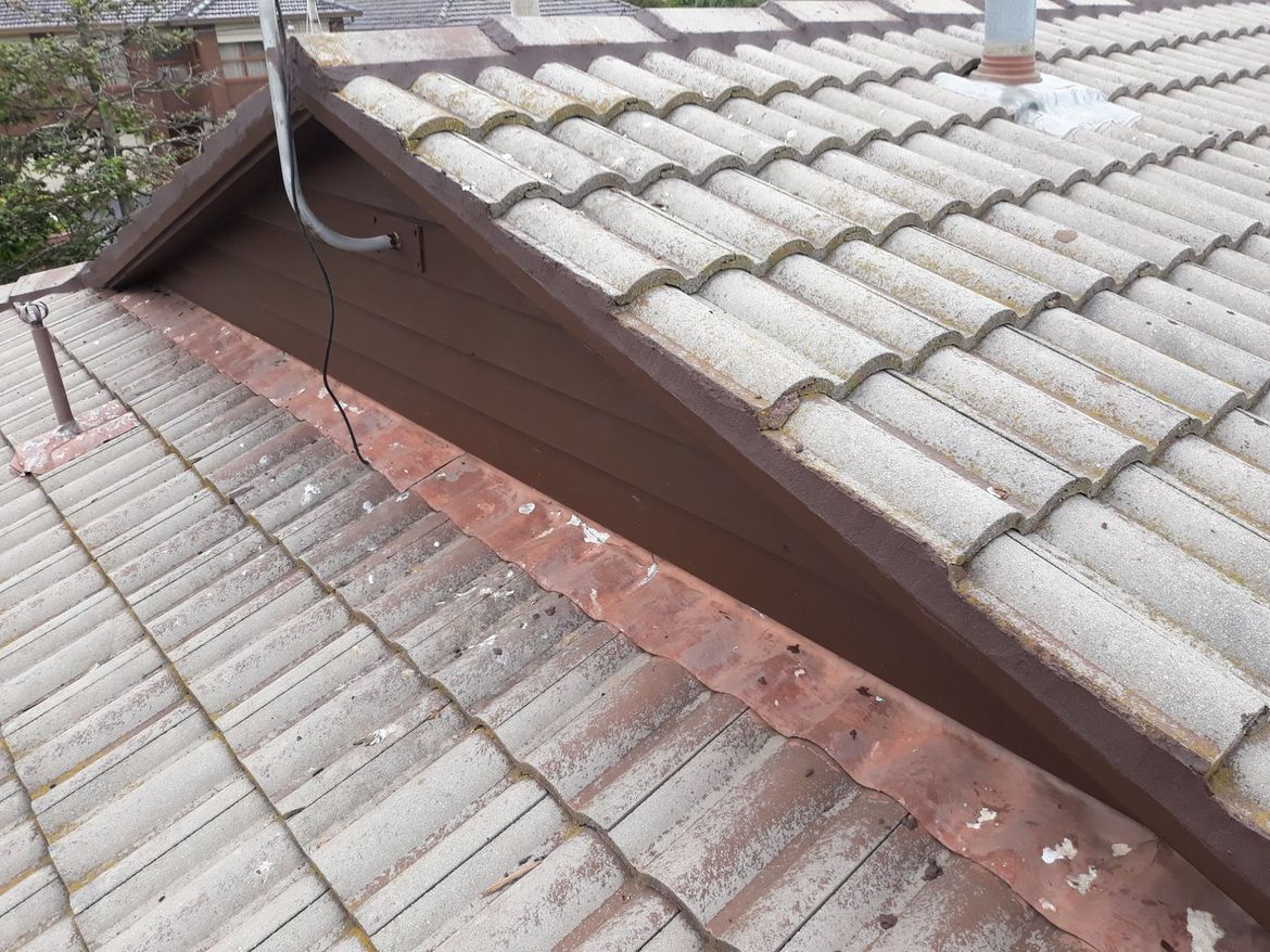 79172167_10221457627452799_9059352449910833152_n (1).jpg