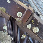 2.4 Incorrectly installed tile.png