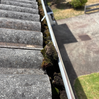 5.2 Gutter in need of cleaning.png