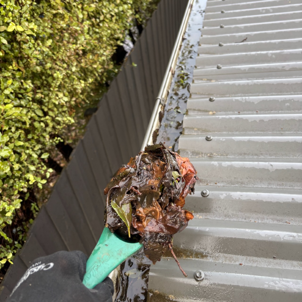 5.3 Cleaning gutters.png