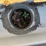 5.4 Downpipe blocked.png