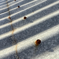 3.3 Rusted roofing screws.png