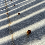 3.3 Rusted roofing screws.png