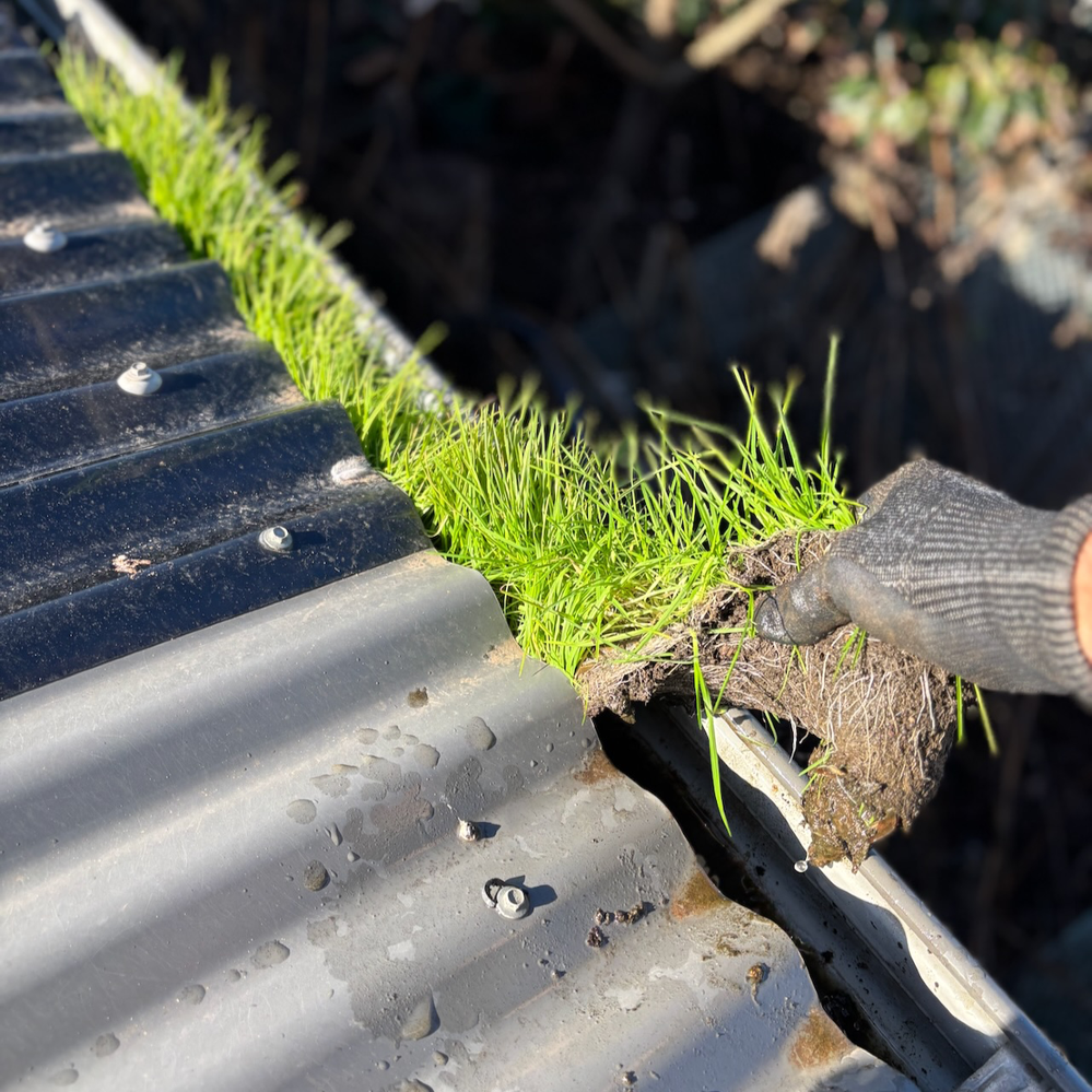 5.1 Blocked gutter.png