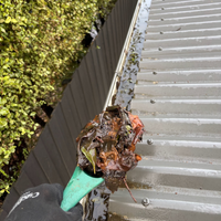 5.3 Cleaning gutters.png
