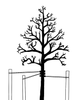 Three stake method for supporting trees.png