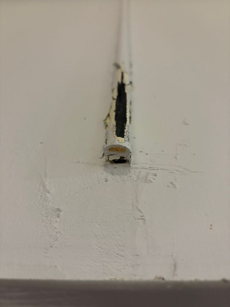 Close up of the one above the door 1 of 3