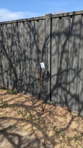 2025-09-04 11.39.29.jpg