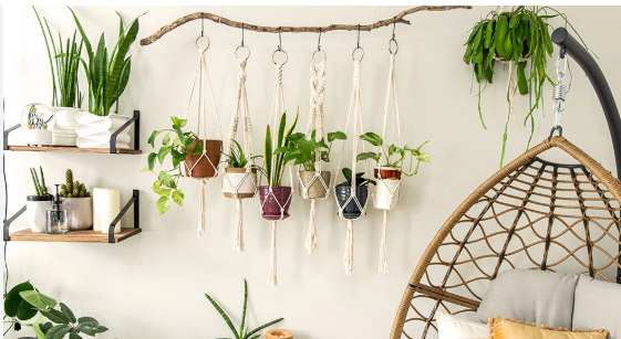 Hanging plants example 2 of 2 (held up by hooks)
