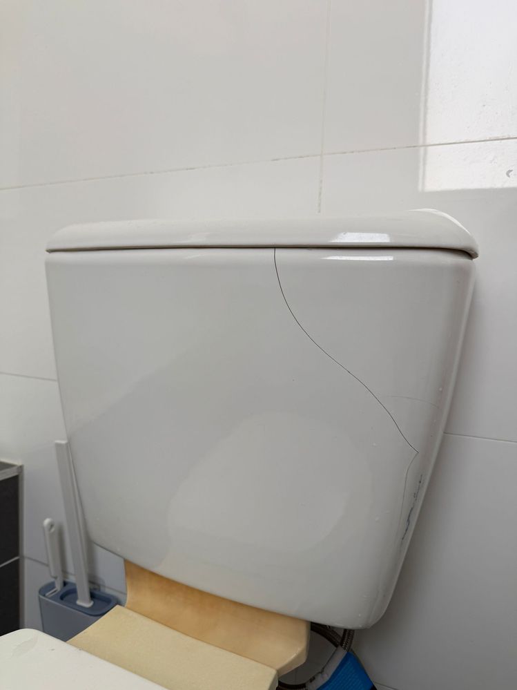 WhatsApp Image 2025-09-11 at 1.00.12 PM (1).jpeg