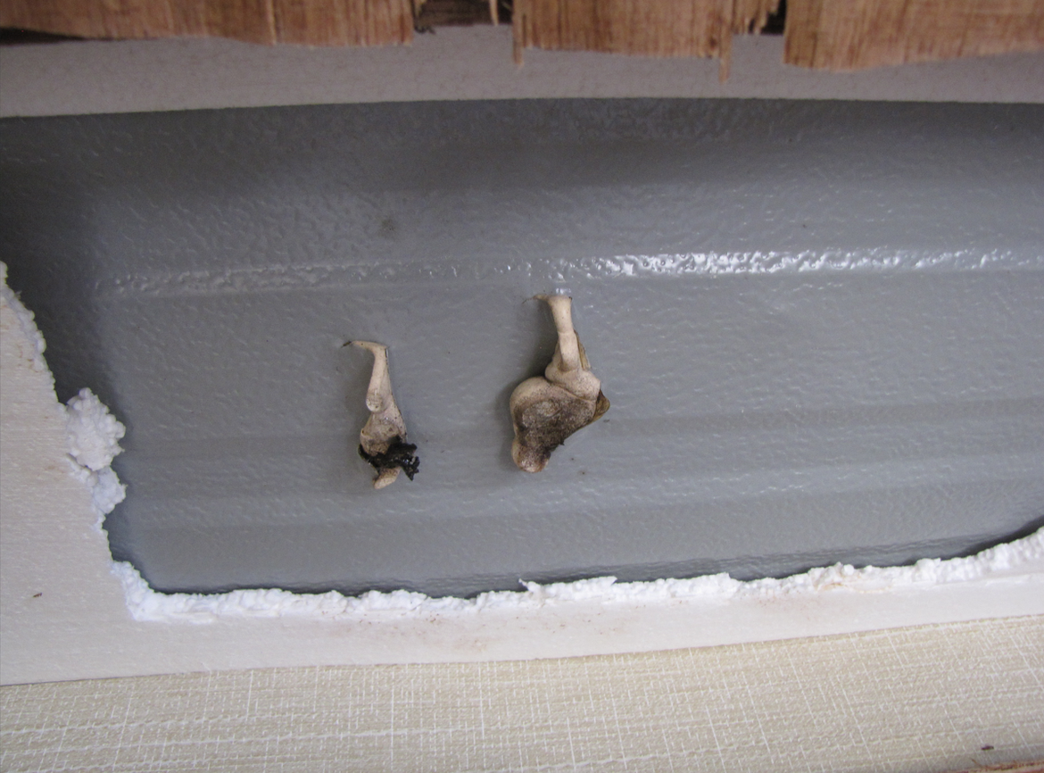 Screenshot 2025-09-14 064725.png