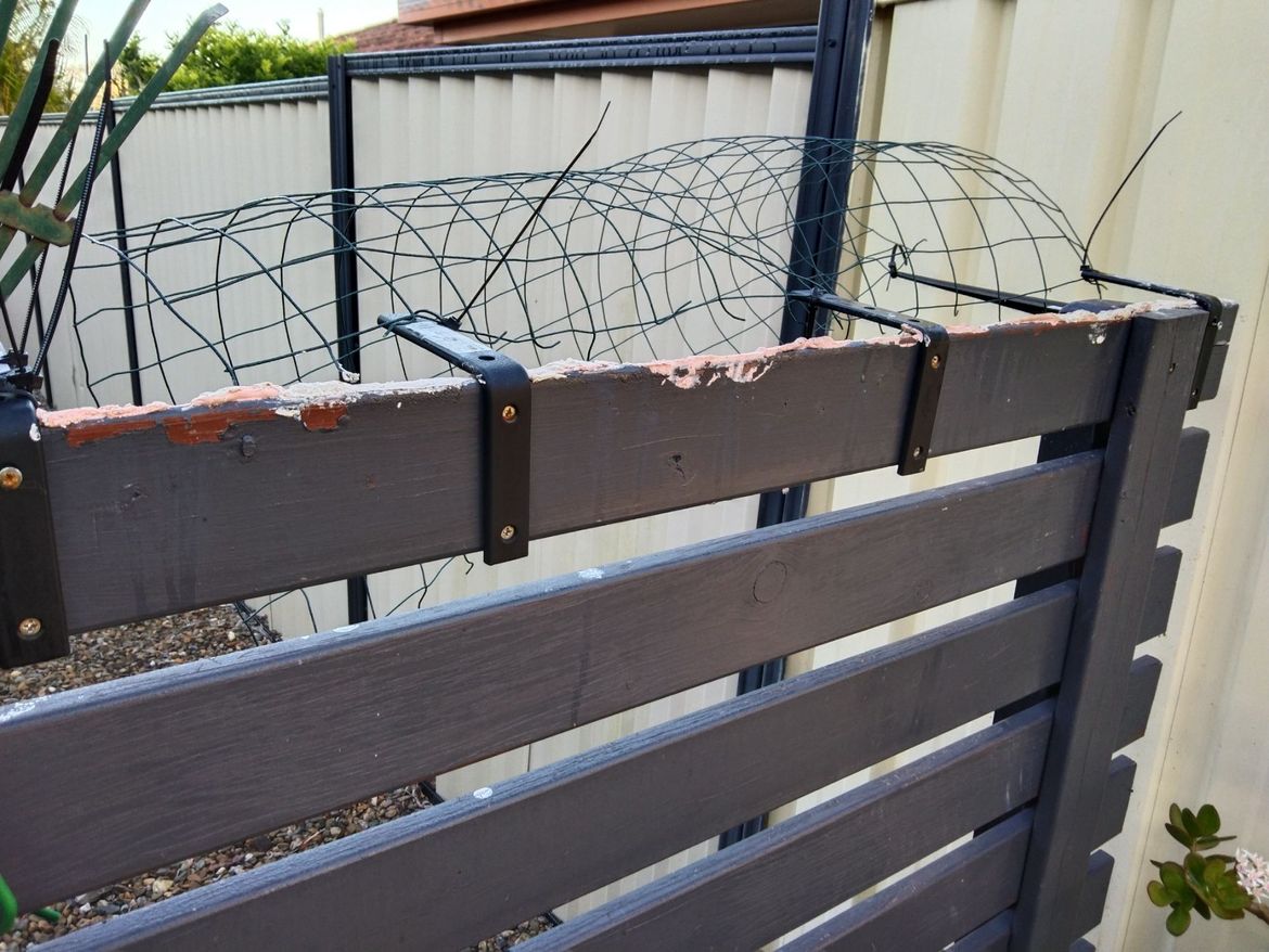 fence8.jpg