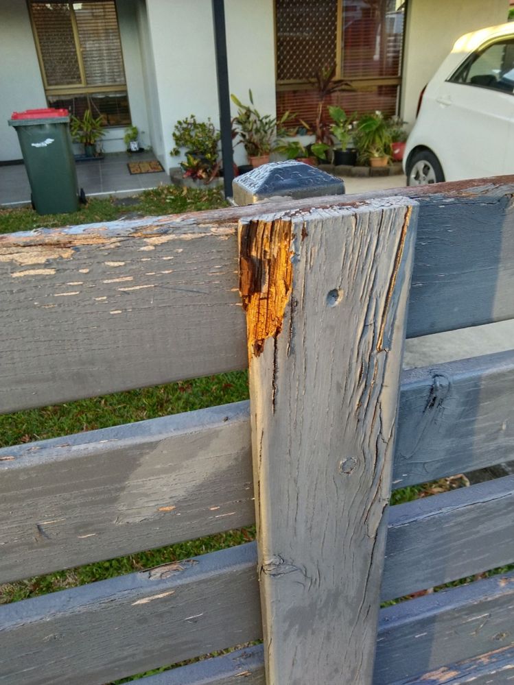 fence10.jpg