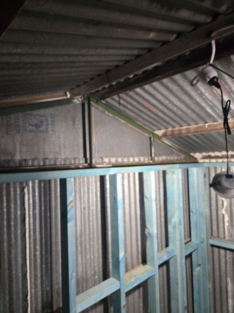 General roof support