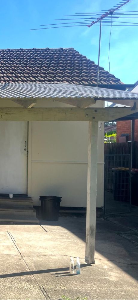 Media - 2025-09-20T124638.542.jpg