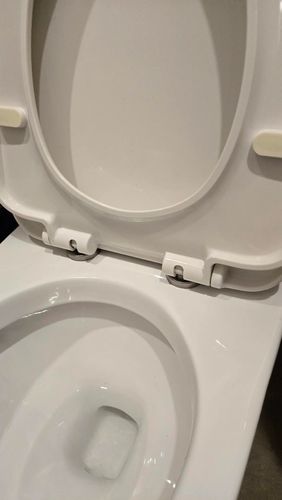 how-do-you-remove-this-toilet-seat.jpg