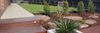 Backyard landscaping and deck.jpg