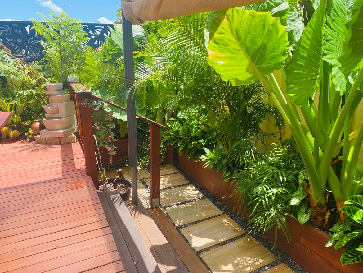Decking with steps to the tropical garden