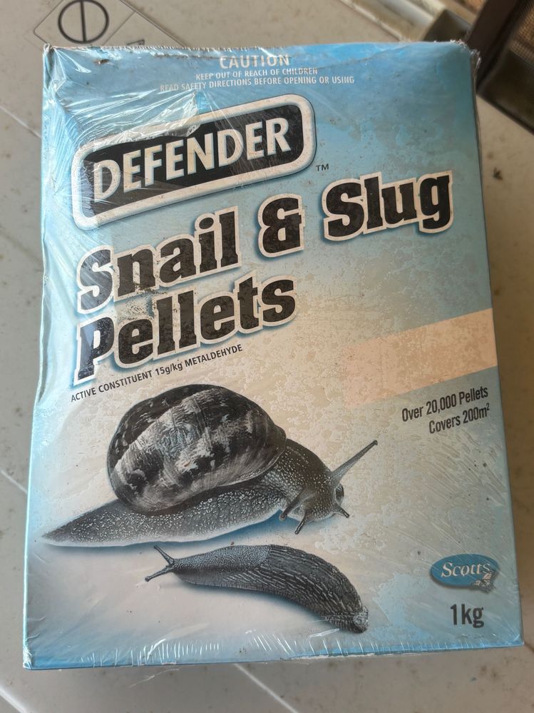 Slug and Snail Caterpiller.jpeg