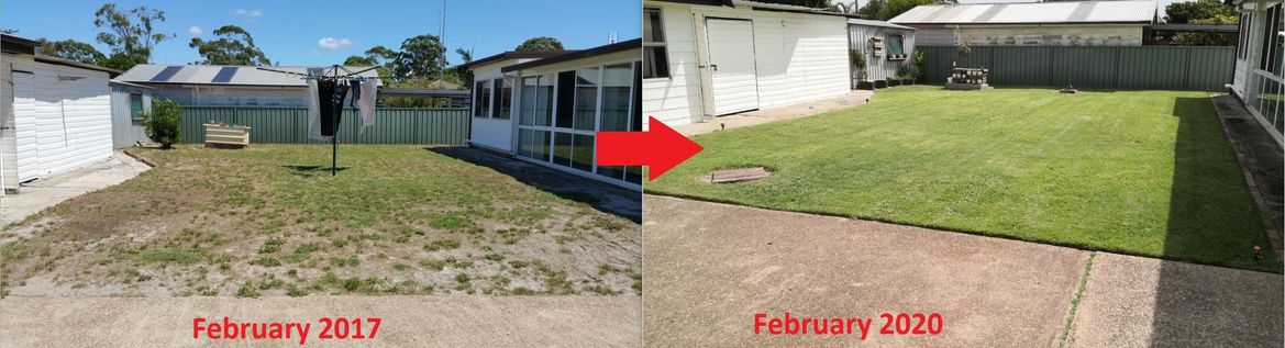 before after 20200305.JPG