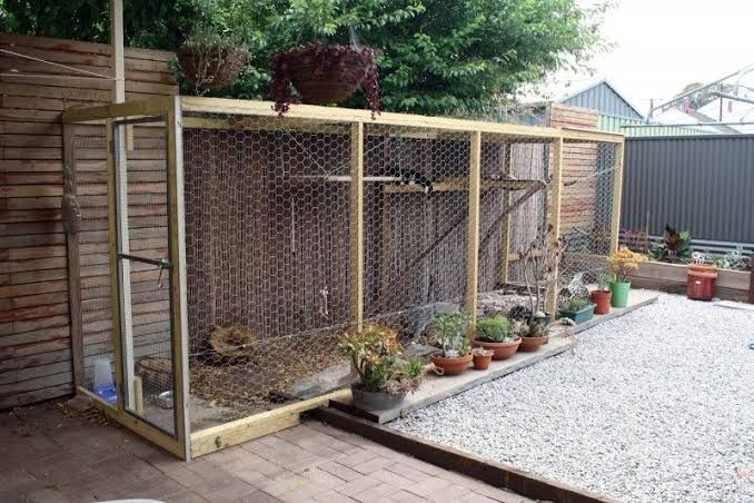 DIY cat enclosure | Bunnings Workshop 