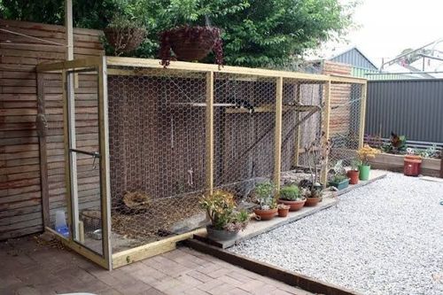 DIY cat enclosure | Bunnings Workshop 