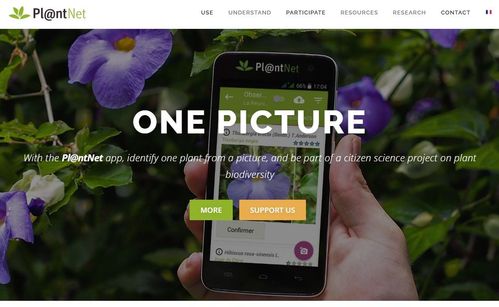 Screenshot 2025-10-08 232204.jpg