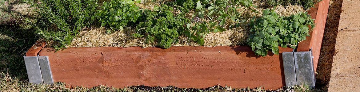 Raised Garden Bed by Adam.jpg