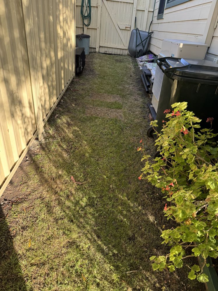 Starting Point. Remove grass and weeds.