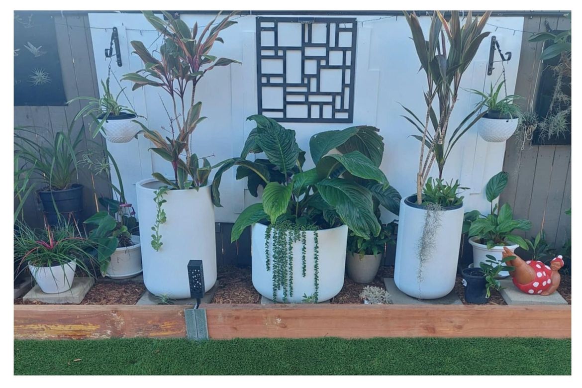 Feature Wall in my BackGarden Transformation