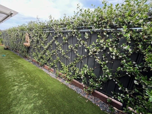 ivy fence 2.jpg