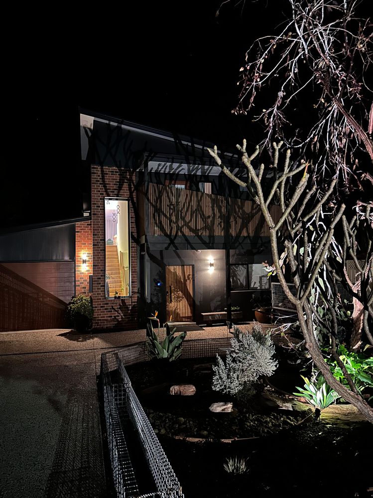 Projected images of garden.