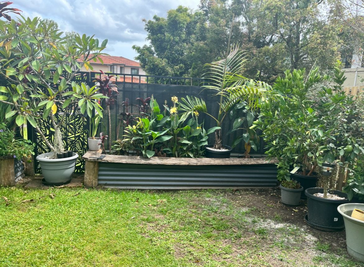 Before digging out existing plants, and raised gardens.