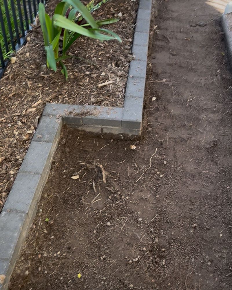 We removed enough of the existing ground