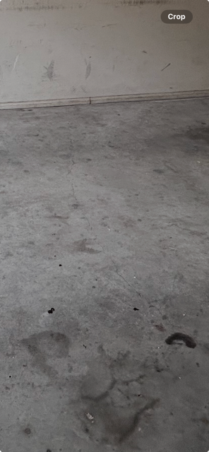 View recent photos.png