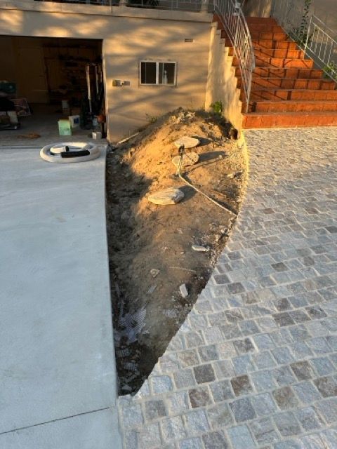 IMG_8589 Medium.jpeg