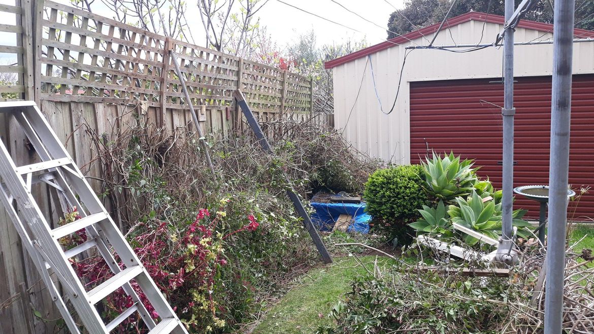 494976080_10237711093859301_801476776949335704_n (1).jpg