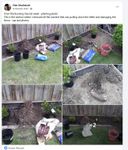 Screenshot 2025-10-16 013015.jpg