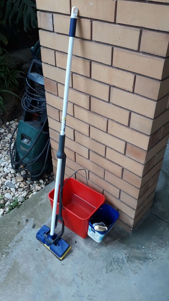 507332653_10238350724849676_5855119768235811808_n (1).jpg